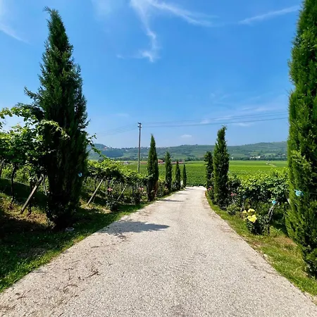 Bioagriturismo Falezze Di Luca Anselmi Lione