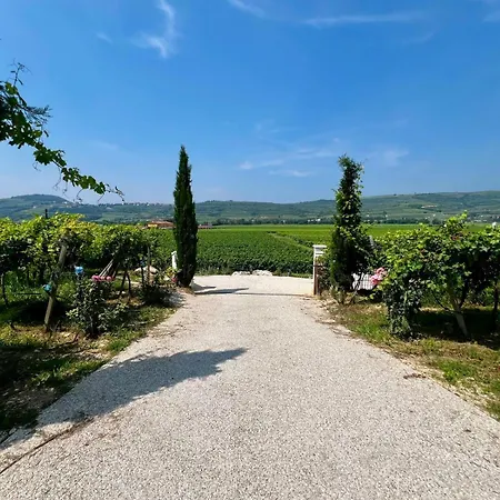 Bioagriturismo Falezze Di Luca Anselmi * Lione